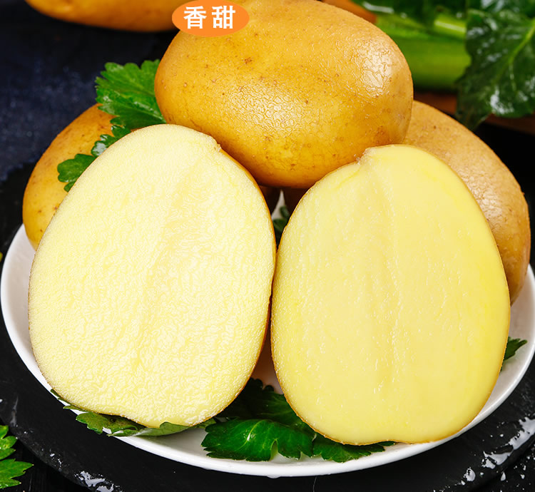 土豆(圖1)