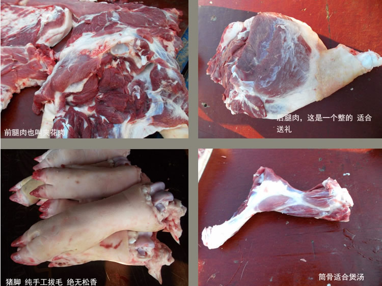 生態(tài)豬(圖2)