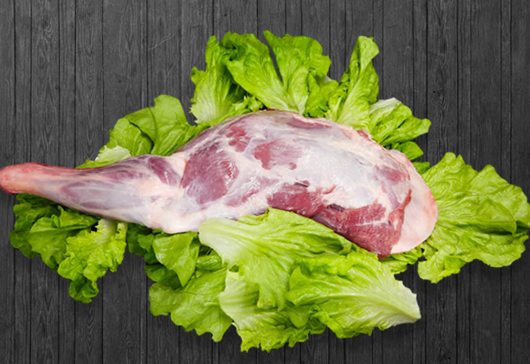 生態(tài)羊肉(圖3)