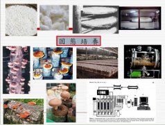 技術(shù)與應(yīng)用